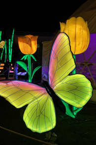 Photo 10 from Festilumi