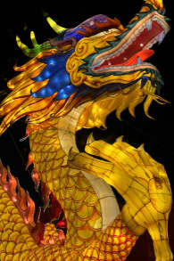 Photo 11 from Festilumi