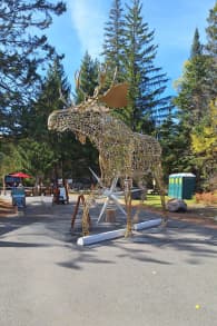 Photo 19 from Sentier des cimes Laurentides