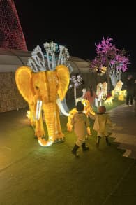 Photo 13 from Festilumi