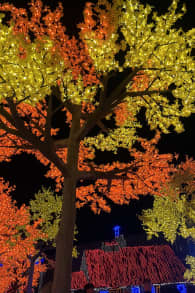 Photo 14 from Festilumi