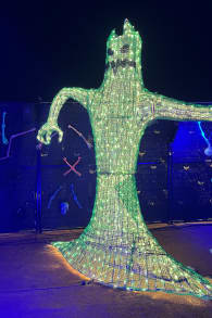 Photo 15 from Festilumi