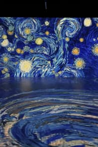 Photo 1 from “From Vermeer to Van Gogh - The Dutch Masters” at Port des Lumières