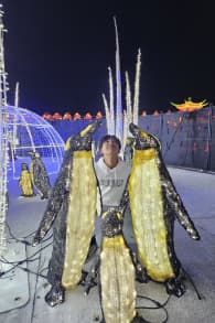 Photo 16 from Festilumi