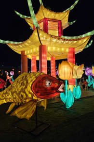 Photo 17 from Festilumi