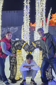 Photo 18 from Festilumi