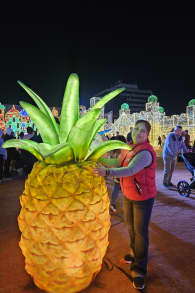 Photo 19 from Festilumi