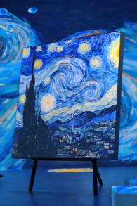 Photo 0 from VINCENT - Zwischen Wahn und Wunder