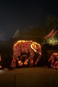 Photo 14 from Pumpkins After Dark