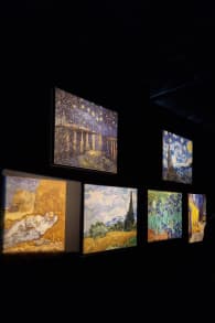 Photo 3 from Van Gogh: The Immersive Experience