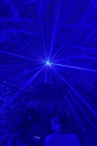 Photo 0 from 京都府立植物園：LIGHT CYCLES KYOTO (ライトサイクル京都)