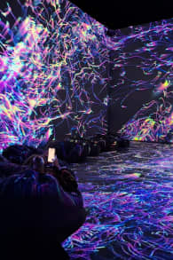 Photo 2 from Aura Labs