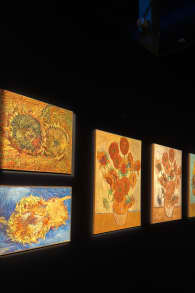 Photo 6 from Van Gogh: The Immersive Experience
