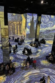 Photo 3 from “From Vermeer to Van Gogh - The Dutch Masters” at Port des Lumières