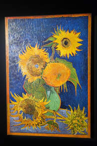 Photo 7 from Van Gogh: The Immersive Experience