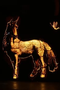 Photo 16 from Pumpkins After Dark