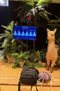 Photo 1 from Machu Picchu - die immersive Experience!