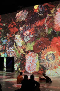 Photo 4 from “From Vermeer to Van Gogh - The Dutch Masters” at Port des Lumières