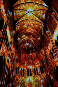 Photo 1 from Genesis, l'histoire de la Création en un spectacle lumineux et immersif à Toulouse