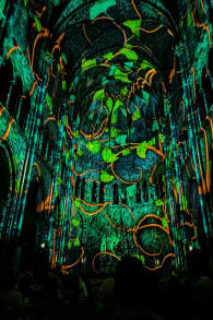 Photo 2 from Genesis, l'histoire de la Création en un spectacle lumineux et immersif à Toulouse