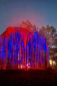 Photo 2 from Light Cycles: ¡Una experiencia inmersiva nocturna entre luces y sonidos de la naturaleza!