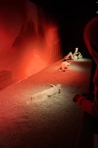 Photo 1 from Les Derniers Jours de Pompéi : L'exposition Immersive
