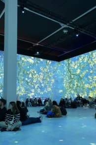 Photo 9 from Van Gogh: The Immersive Experience