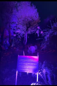 Photo 4 from Le Parc de l'Étrange