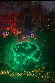 Photo 8 from Le Parc de l'Étrange