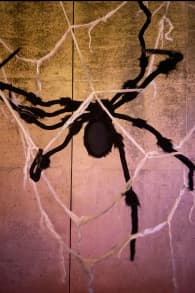 Photo 9 from Le Parc de l'Étrange