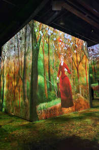 Photo 3 from Monet: Experience an immersive masterpiece at Phoenix des Lumières