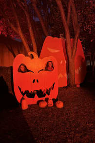 Photo 10 from Le Parc de l'Étrange