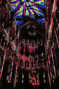 Photo 4 from Genesis, l'histoire de la Création en un spectacle lumineux et immersif à Toulouse