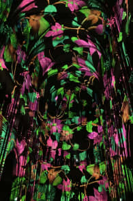 Photo 6 from Genesis, l'histoire de la Création en un spectacle lumineux et immersif à Toulouse