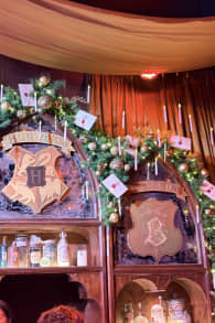 Photo 2 from Harry Potter™: Um Grande Baile Tribruxo