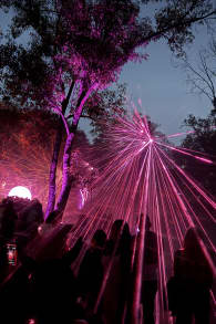 Photo 6 from Light Cycles: ¡Una experiencia inmersiva nocturna entre luces y sonidos de la naturaleza!