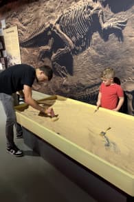 Photo 0 from DinoVerse Atlanta