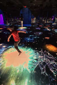 Photo 1 from DinoVerse Atlanta