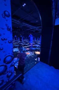 Photo 2 from DinoVerse Atlanta