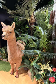 Photo 3 from Machu Picchu - die immersive Experience!