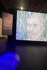 Photo 8 from VINCENT - Zwischen Wahn und Wunder