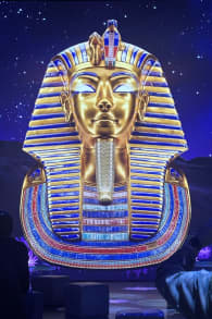 Photo 3 from Tutankhamun: The Immersive Exhibition