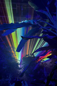 Photo 1 from 京都府立植物園：LIGHT CYCLES KYOTO (ライトサイクル京都)