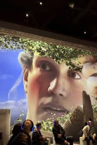 Photo 9 from Les Derniers Jours de Pompéi : L'exposition Immersive