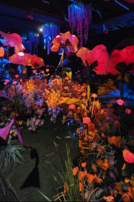 Photo 0 from Wondra: Immerse yourself in the magic of nature