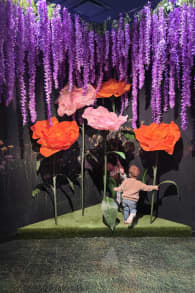 Photo 1 from Wondra: Immerse yourself in the magic of nature