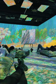 Photo 9 from VINCENT - Zwischen Wahn und Wunder