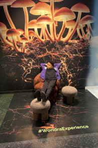 Photo 4 from Wondra: Immerse yourself in the magic of nature