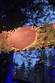 Photo 0 from Harry Potter™: A Forbidden Forest Experience