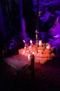 Photo 2 from Harry Potter™: A Forbidden Forest Experience